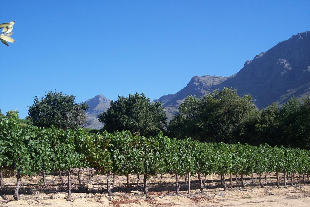 Sonklip Hotel Stellenbosch Exterior photo